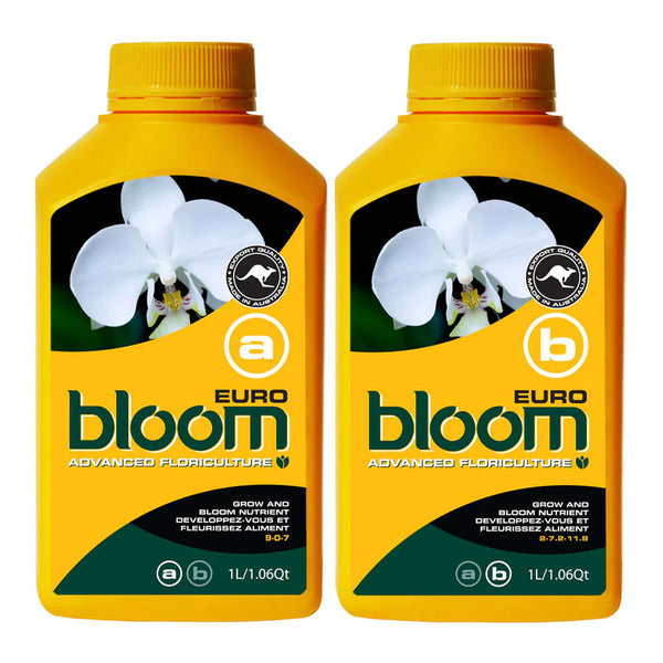 BLOOM EURO A & B image 0