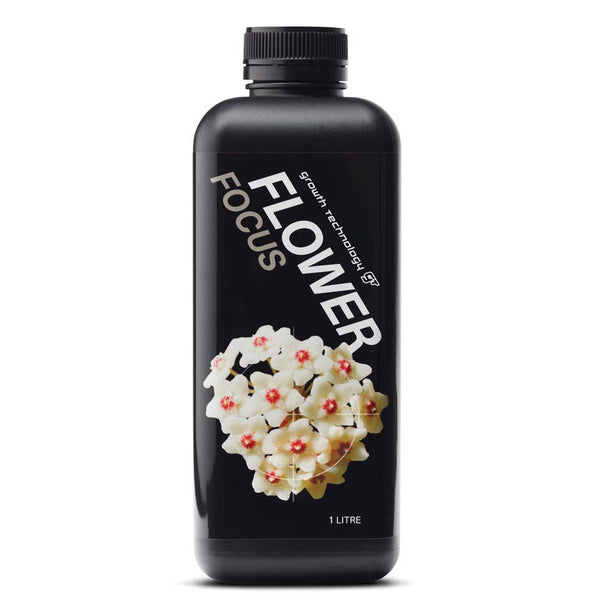 FLOWER FOCUS image 0