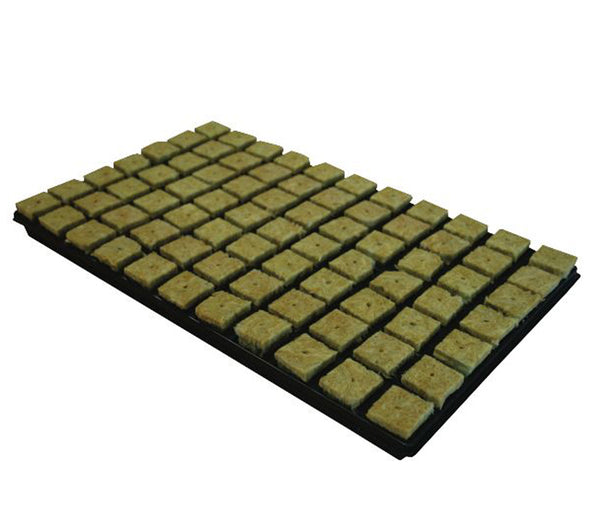 CULTILENE LARGE PROP CUBES 35MM TRAY OF 77 image 0