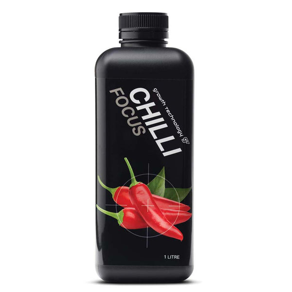 CHILLI FOCUS image 0