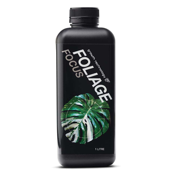 FOLIAGE FOCUS image 0