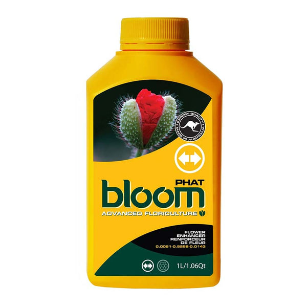 BLOOM PHAT image 0