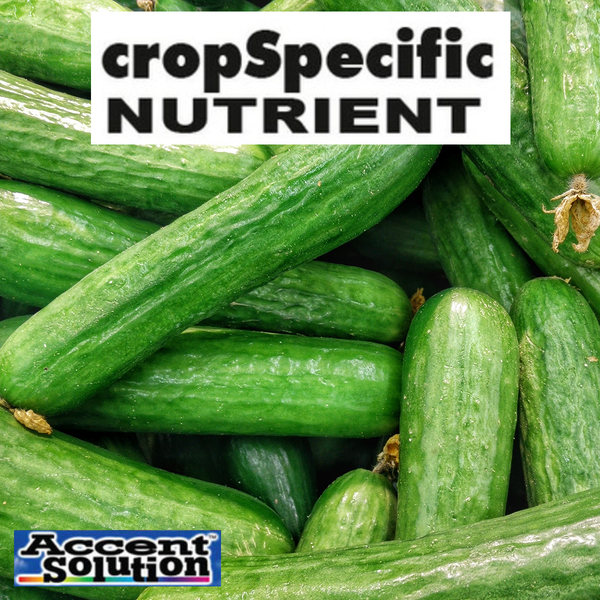 CUCUMBER MIX 20 KG A + B PACK image 0