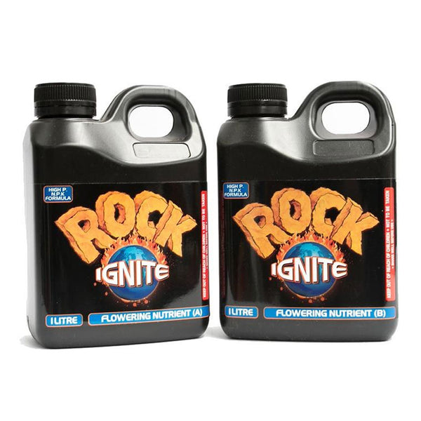 ROCK IGNITE BLOOM A + B image 0