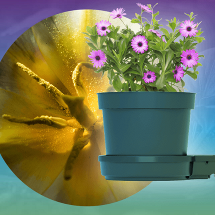 GOGRO TWENTY-FIVE LITRE MODULE image 3