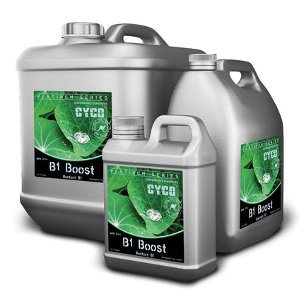 CYCO B1 BOOST image 0