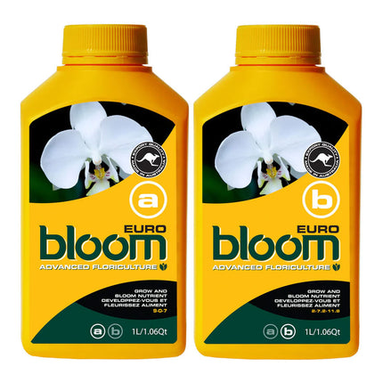 BLOOM EURO A & B image 0