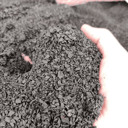 BIOCHAR ACTIVE image 2