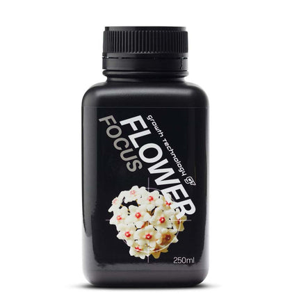 FLOWER FOCUS image 1