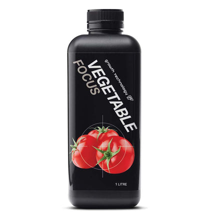 VEGETABLE FOCUS image 0