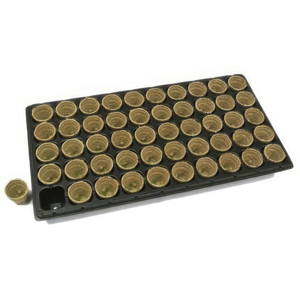 COCO PLUGS 36MM TRAY OF 50 CELLS image 0