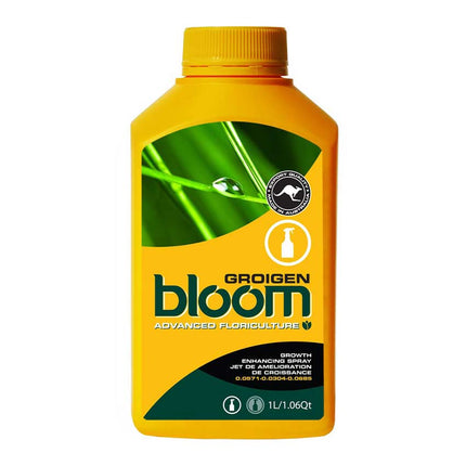 BLOOM GROIGEN image 0