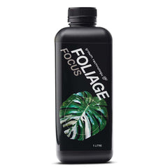 FOLIAGE FOCUS image 0