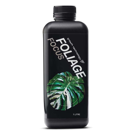 FOLIAGE FOCUS image 0