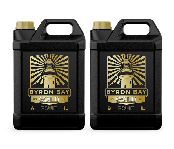 BYRON BAY GOLD FRUIT A+B image 0