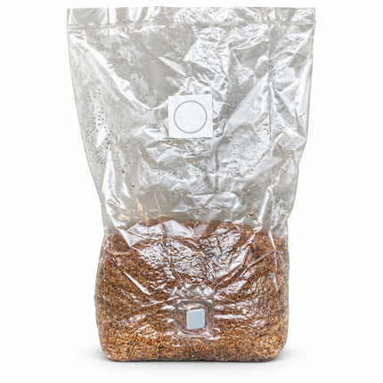 ALL IN ONE READY TO INOCULATE GRAIN RYE MASTER MUSHROOM MIX
