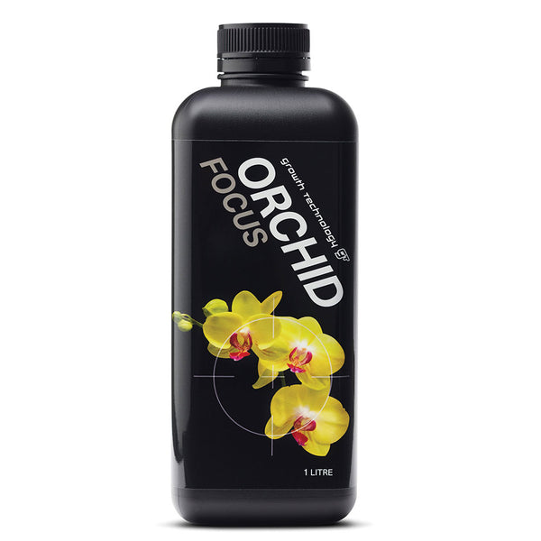 ORCHID FOCUS GENERAL image 0