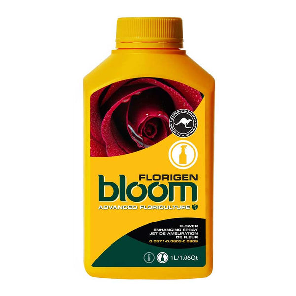 BLOOM FLORIGEN image 0