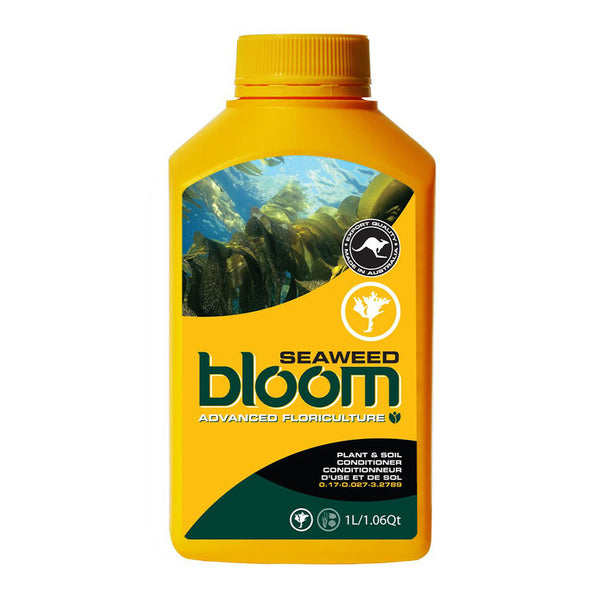 BLOOM SEAWEED image 0