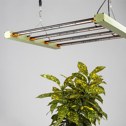 TREEGERS GL300W LED GROW LIGHT image 4