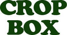 CROP-BOX BLACK 45L GRATED BASE 58 X 41 X 20.5CM image 1