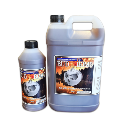 BUD BOMB DUTCHFEST FIVE LITRE image 1