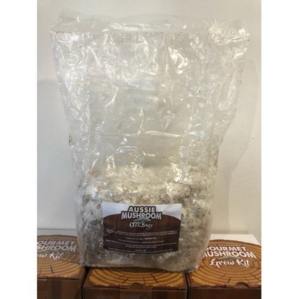 CO2 AUSSIE MUSHROOM BREATH BAG - 1300PPM FOR 6 MONTHS image 1